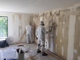 Best Water Damage & Mold Remediation in Crowley, TX